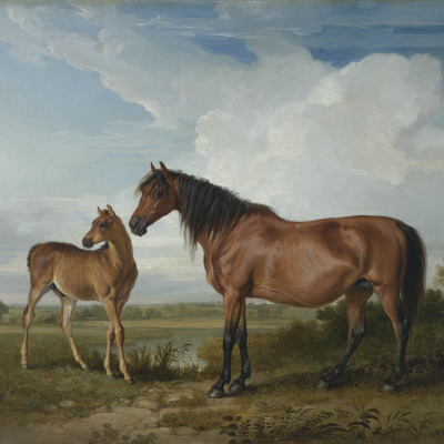 Portraits of Granadillo, a Brood Mare, and Skyscraper Colt, the Property of T. Crook, Esq.