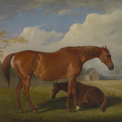 Filigree and Her Foal, Charlotte West, in a Paddock