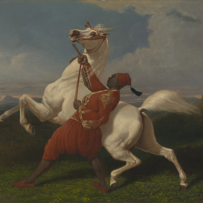 A Groom Holding an Arab Stallion