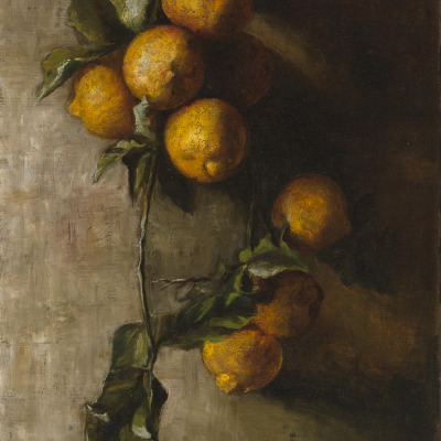 Branch of Oranges