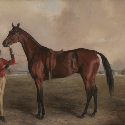 A Stable Jockey (Willis?) Holding Mazeppa for W. R. Johnson, Painted Late Spring 1835
