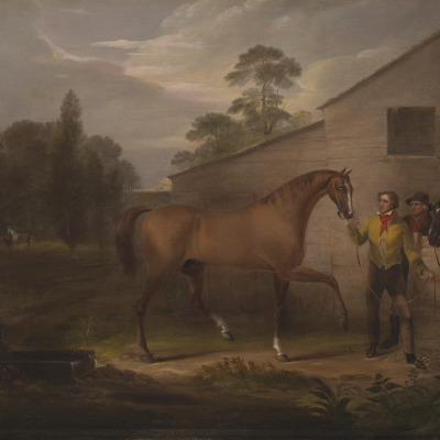 Portrait of the Racehorse, 'Duroc'