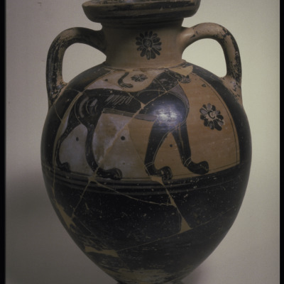 Black-figure neck-amphora (Storage Vessel)
