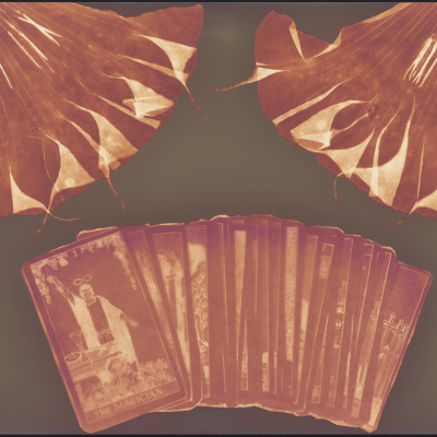 A Full Deck - Tarot Cards