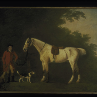 A Flecked Roan Hunter Waiting with a Hunt Servant, a Foxhound, and a Terrier