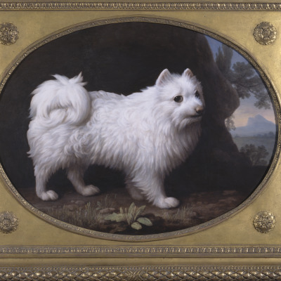 Portrait of Mrs. French's White Lap Dog