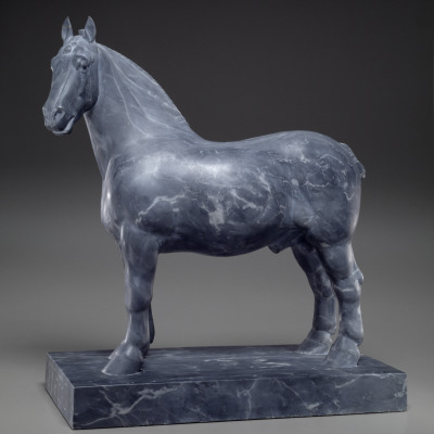 Percheron Stallion: Rhum