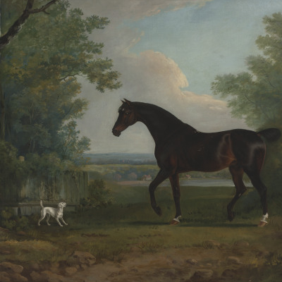 A Gentleman with His Horse and Dogs